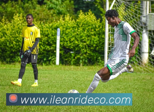 DAFA.COM品牌故事