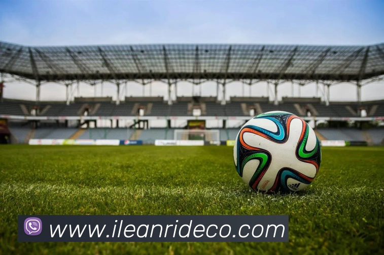 DAFA.COM服务体系